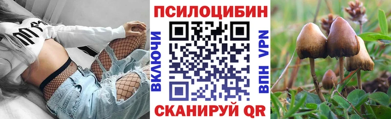 купить наркотик  Каспийск  Псилоцибиновые грибы Psilocybine cubensis 