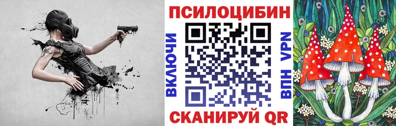 Псилоцибиновые грибы GOLDEN TEACHER Каспийск